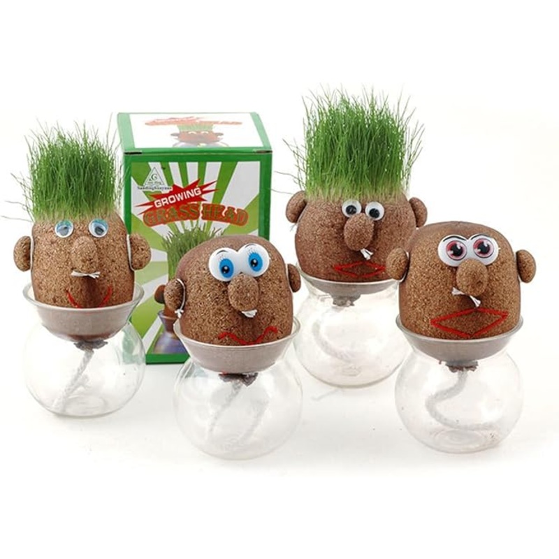 1 Pc Grass Head Doll Plant