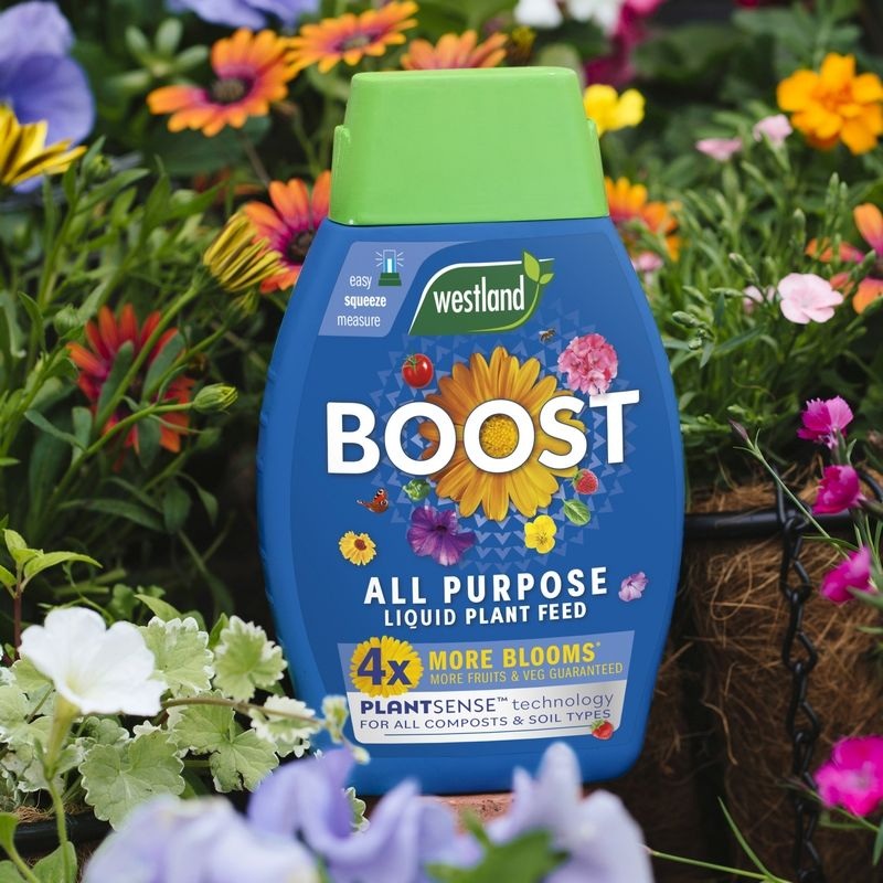 Westland Boost All Purpose Liquid Plant Feed – 1 litre