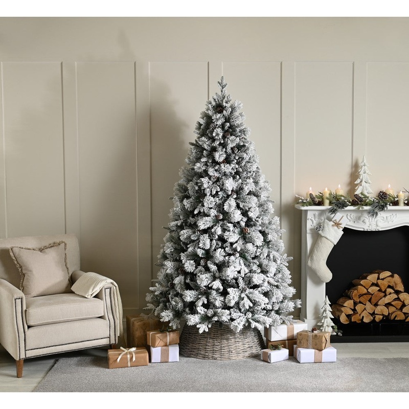 6ft Bishop’s Pine Christmas Tree Artificial – White Frosted Green  675 Tips