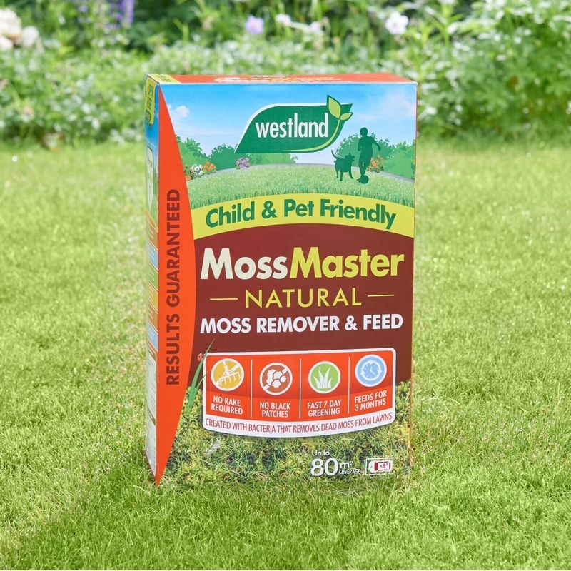 Westland Moss Master Natural Lawn Feed And Moss Remover – 80sqm