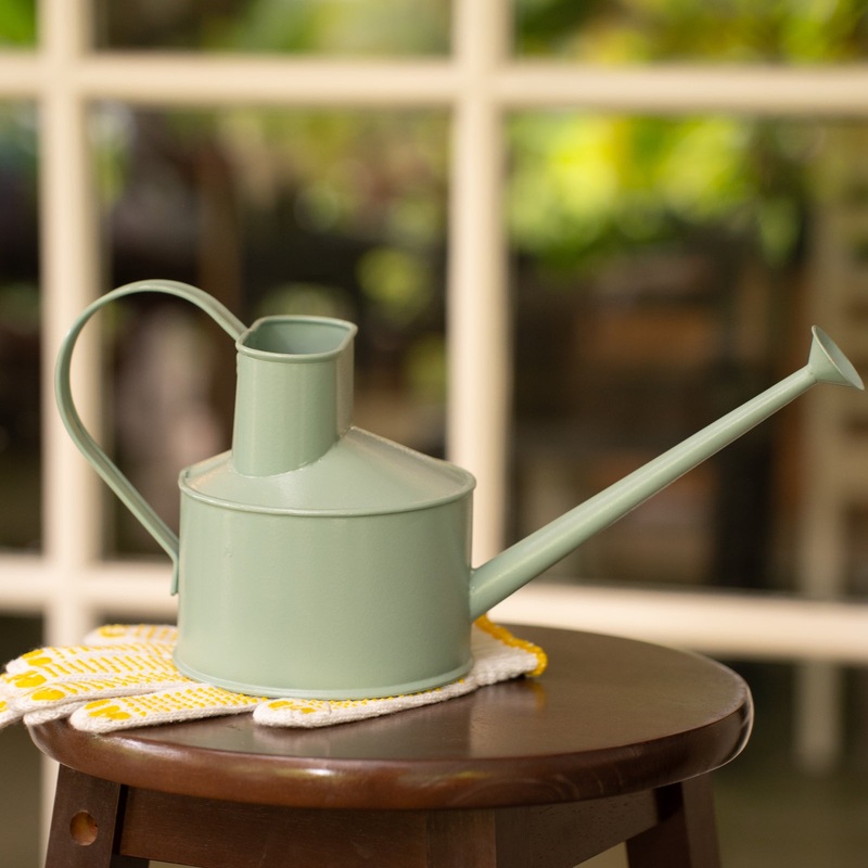 The Mollison Indoor Garden Watering Can (  x Hindy Weber )