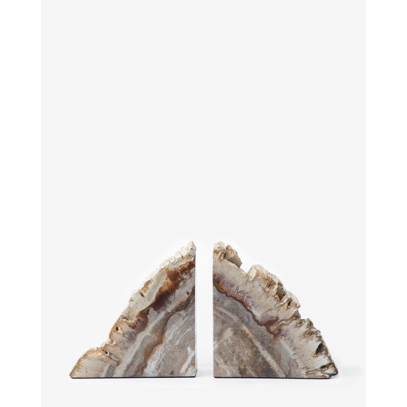 Fossilized Wood Bookends (Set of 2)