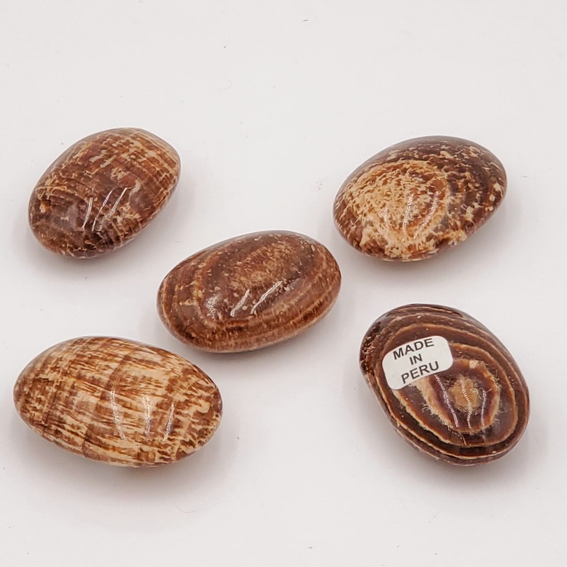 1 Brown Aragonite Palm Stone Zebra Striped Polished Stone