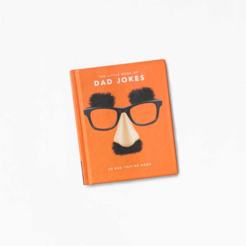 The Little Book of Dad Jokes: So Bad They’re Good