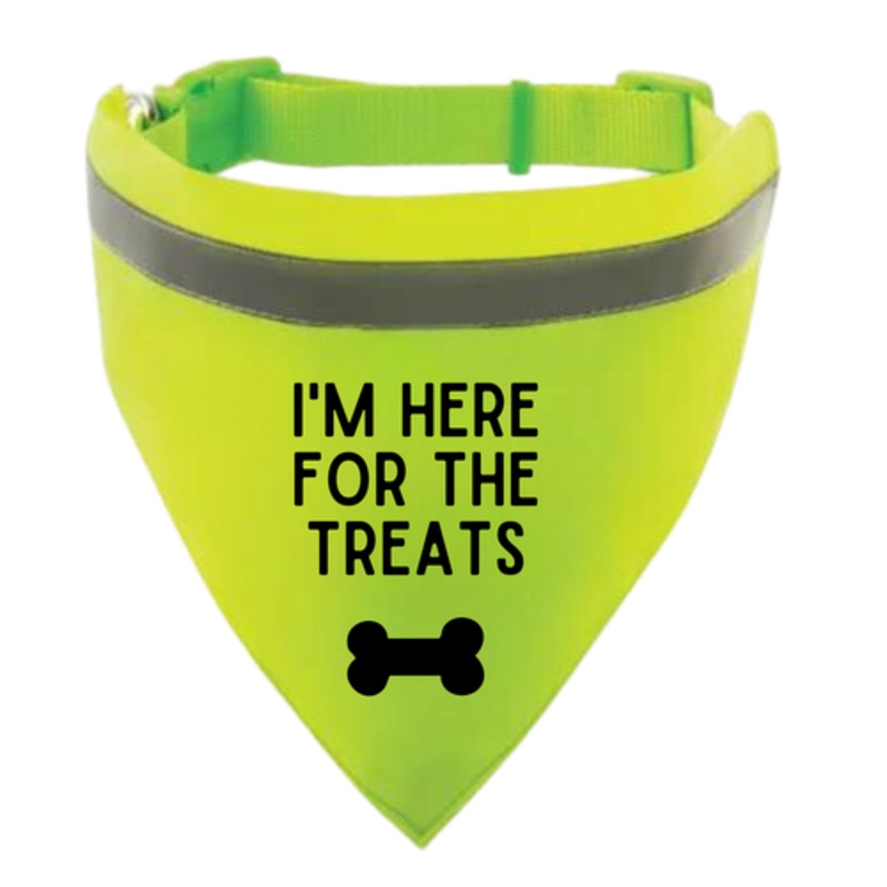I’m Here for the Treats Dog Bandana Collar