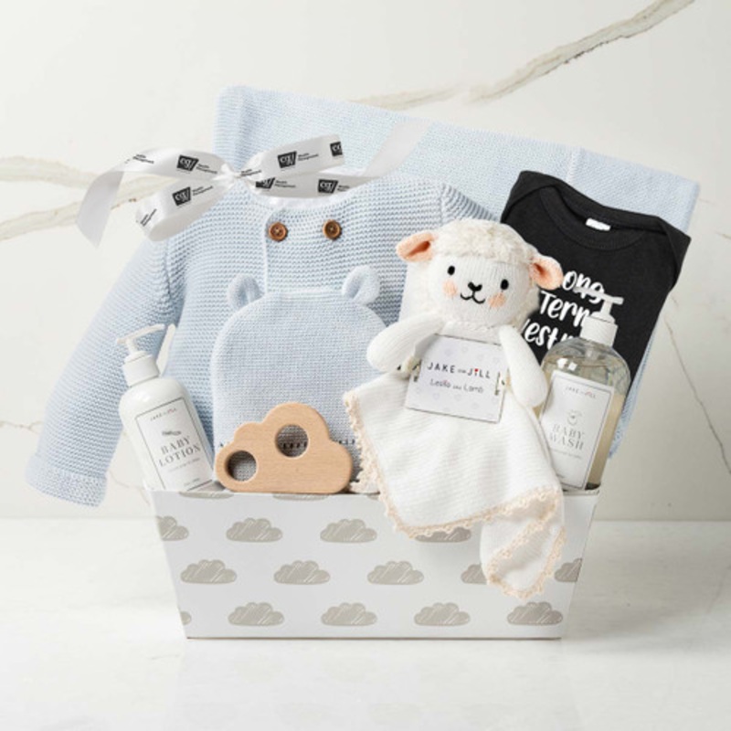 Bundle of Joy Blue (CG)