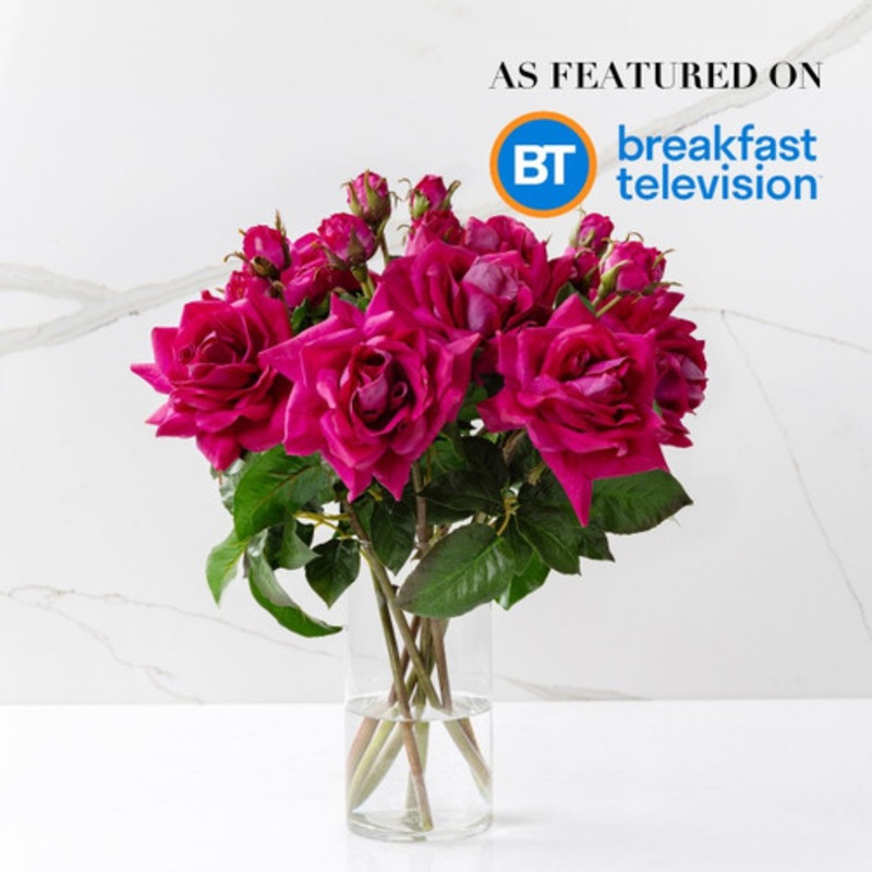 Jane (Faux Flowers)